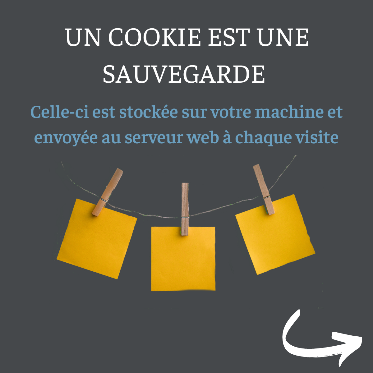 Principe du cookie web Un cookie web est une sauvegarde stockée sur la machine et envoyée au serveur web à chaque appel