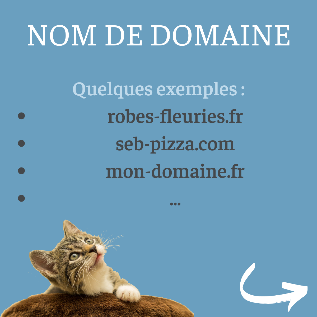 Quelques exemples de nom de domaine Quelques exemples de nom de domaine